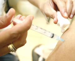 A vacinação contra a gripe H1NI acontece nas UBS relacionadas ao final da matéria