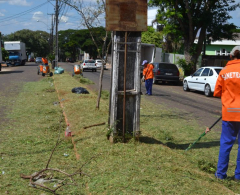 Na Vila Araponguinha, o canteiro central da Avenida Siriema foi revitalizado