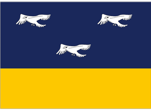 bandeira de Arapongas