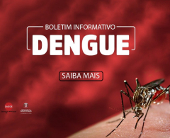 Novo boletim mostra que Arapongas já tem 3.004 casos e cinco óbitos por dengue