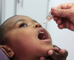 Arapongas abre vacinação Contra a Poliomielite nesta terça-feira, 28