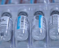 Doses garantem retomada da vacinação contra a Covid-19