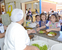 Nas escolas são servidas quase 8.000 refeições  por dia