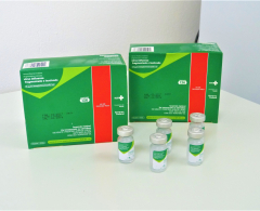 13 Unidades Básicas de Saúde disponibilizam a vacina em Arapongas