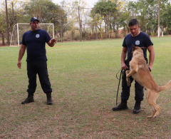 GMA ministra treinamento com cães para guardas de Londrina e Ponta Grossa