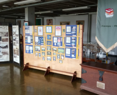 SECLE abre exposição sobre 75 anos de Arapongas na Biblioteca