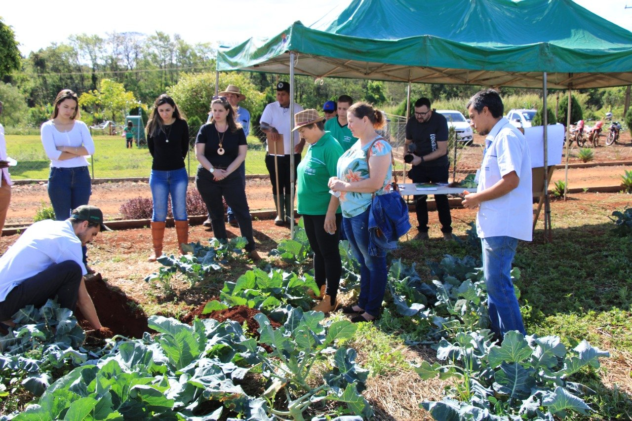 Sucesso no I Dia de Campo - Boas Práticas Agropecuárias, realizado no Dorcelina Folador