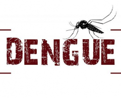 Arapongas confirma 156 casos de dengue