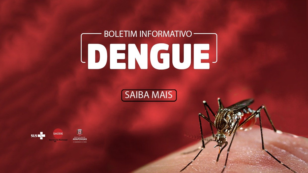Arapongas registra 1.373 casos de dengue; seguem ações de combate ao mosquito