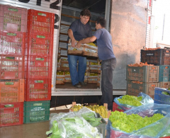 Produtores fornecem 209 mil Kg de frutas, verduras e legumes por ano 