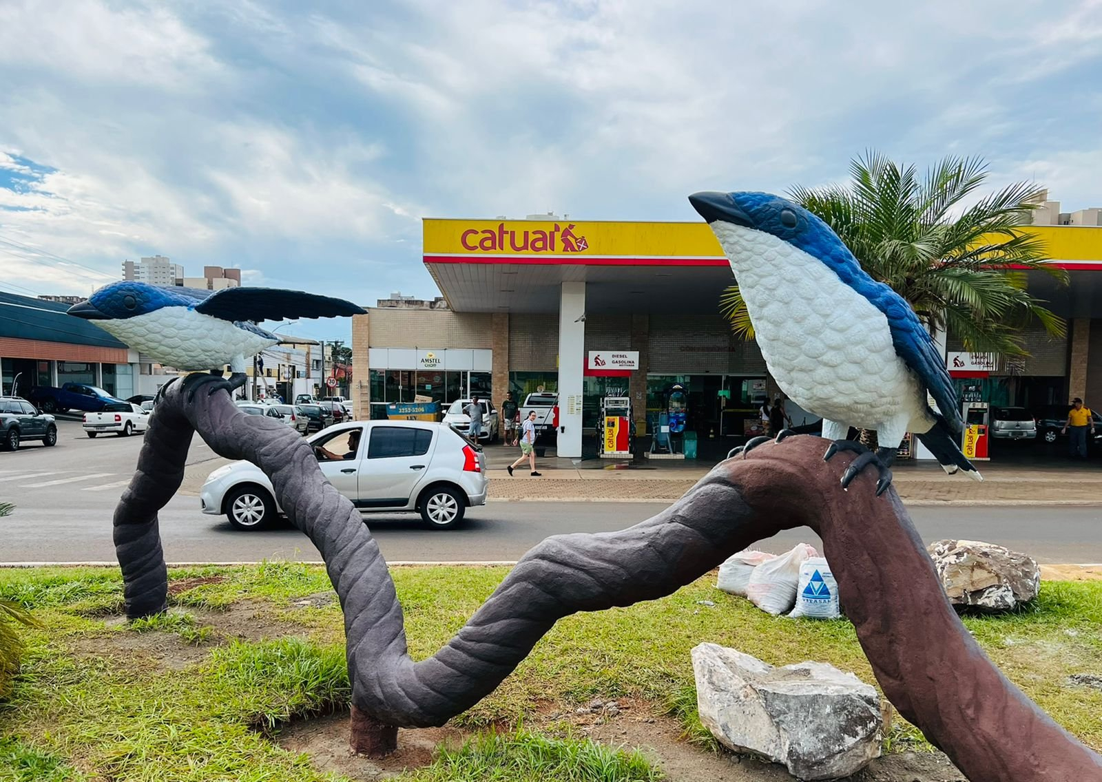 Arapongas terá 8ª escultura de pássaro entregue até a próxima semana, diz Cleir Ávila