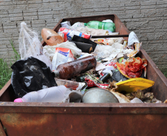 Grande quantidade de lixo descartado irregularmente alarma autoridades