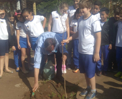 Sec do Meio Ambiente e alunos realizam plantio árvores